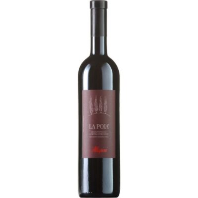 POJA ALLEGRINI 1998